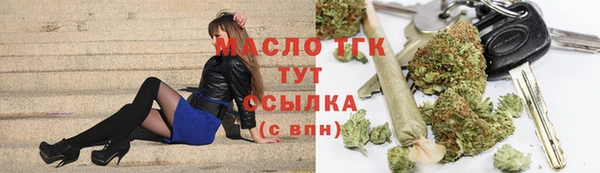 СК Алексин