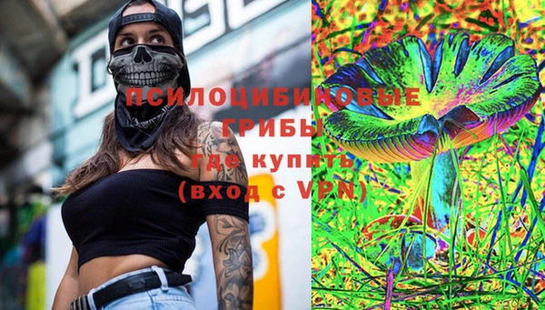 spice Алзамай