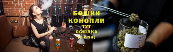 шишки Алексеевка