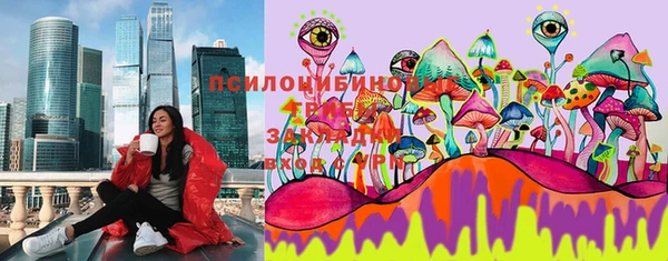 шишки Алексеевка