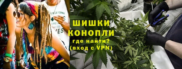 spice Алзамай