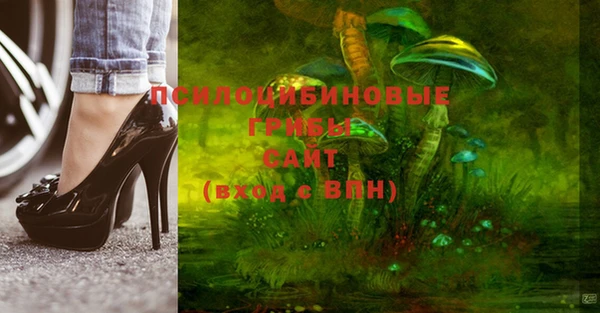 шишки Алексеевка