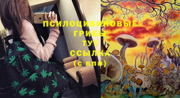 СК Алексин