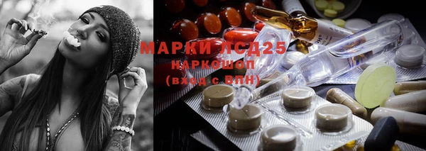 spice Алзамай