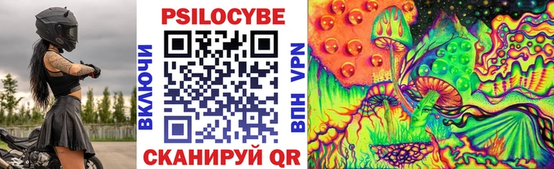 Галлюциногенные грибы Cubensis  где купить наркоту  Билибино 